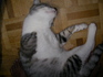 SANY0002.jpg