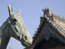 橘寺の馬